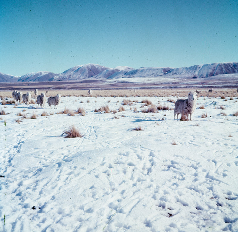 59 - (no caption).jpg - 59 - (no caption)